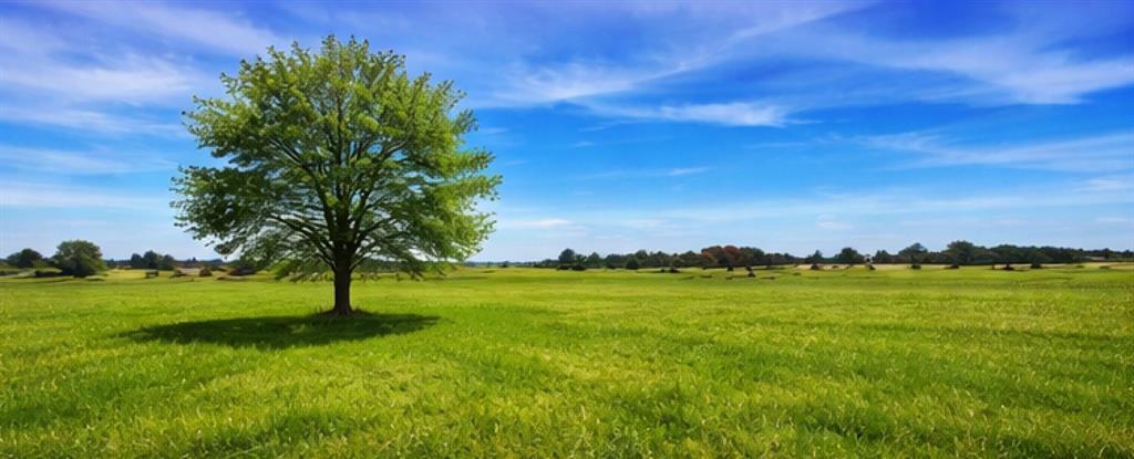 2619 Freedom Court Tolar, TX 76476 - Photo 4 of 8 a view of an outdoor space and yard
