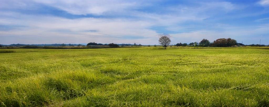 2619 Freedom Court Tolar, TX 76476 - Photo 5 of 8 a view of a lake view and mountain
