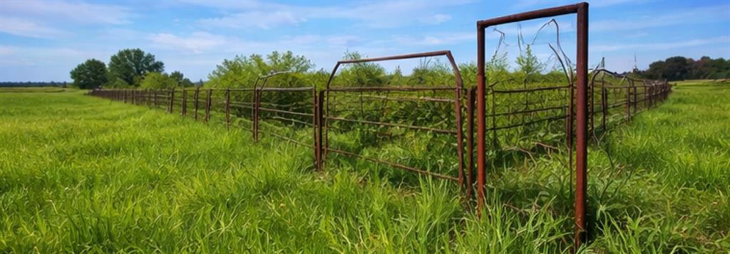 2619 Freedom Court Tolar, TX 76476 - Photo 7 of 8 a view of a garden