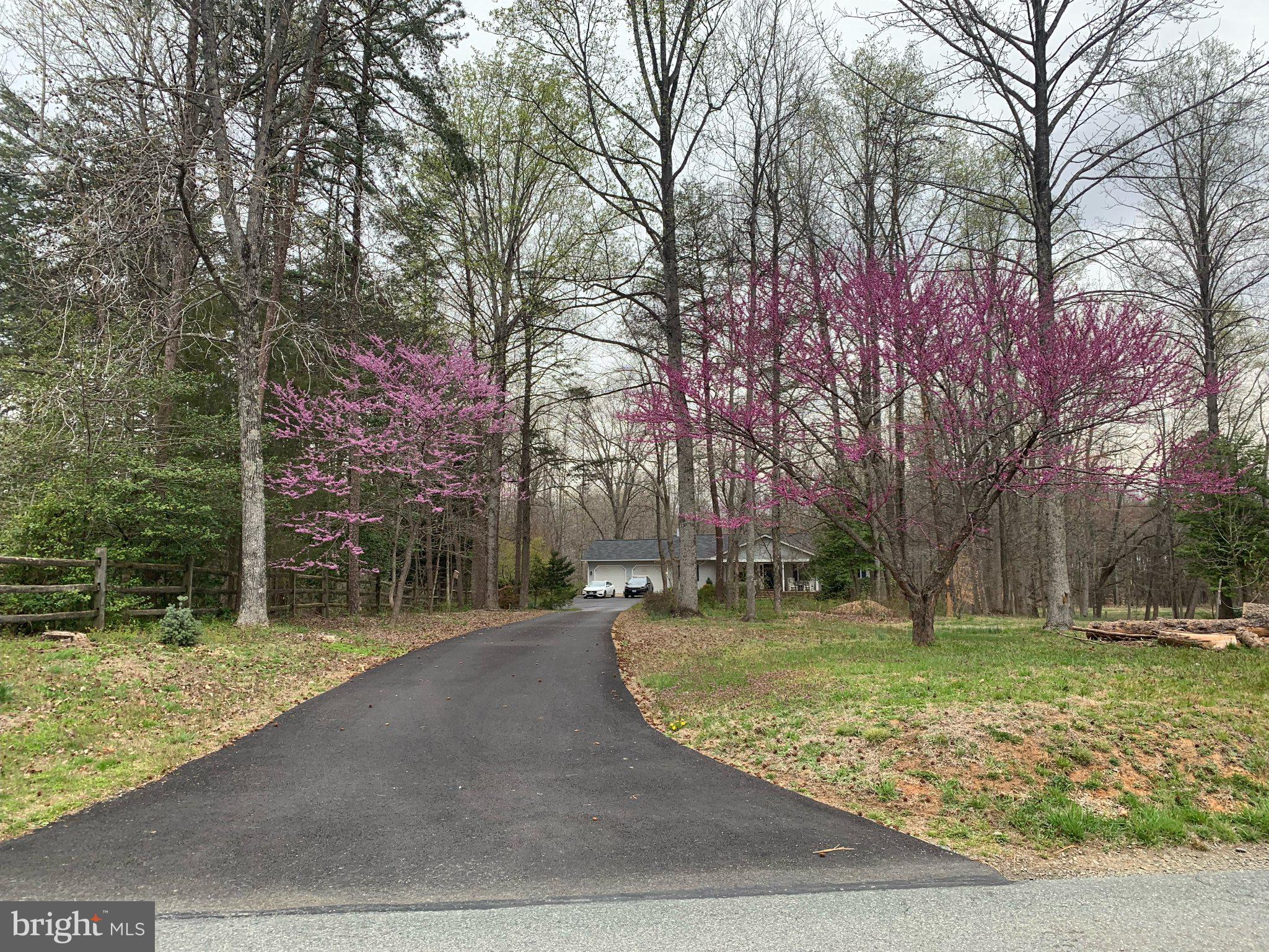 230 Richards Ferry Road Fredericksburg, VA 22406 - Photo 77 of 96 Charming drive flanked by blossoms.