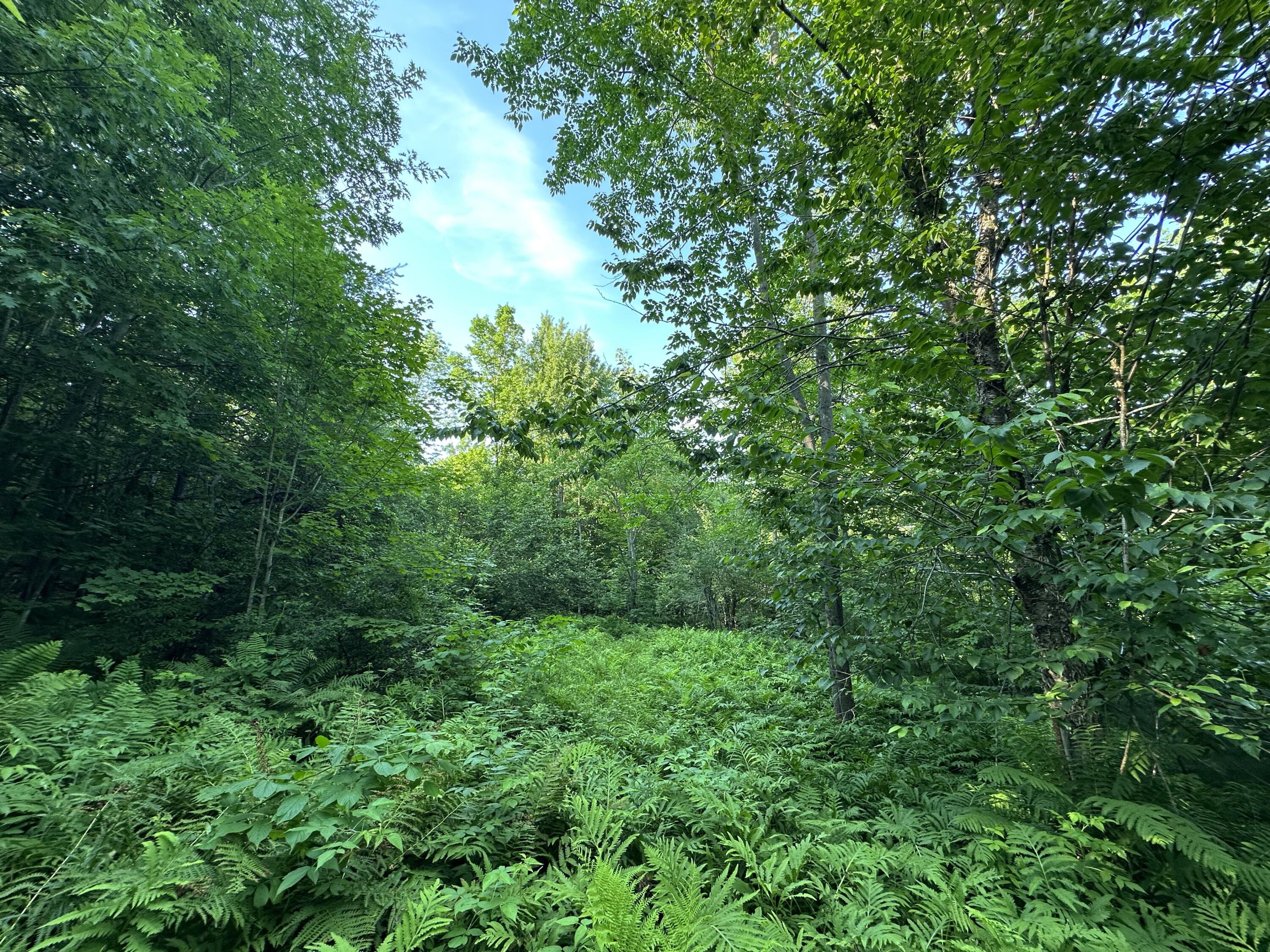 20 A Borough Road Chesterville, ME 04938 - Photo 16 of 35 QuyrJaLMRhOtOxx9rlgK0g