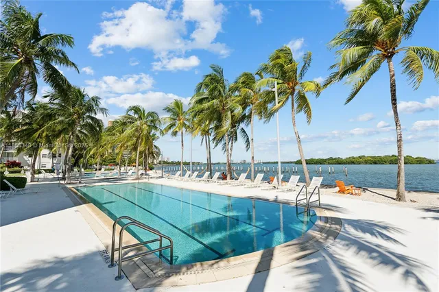 a view of a swimming pool with a lawn chairs under palm trees