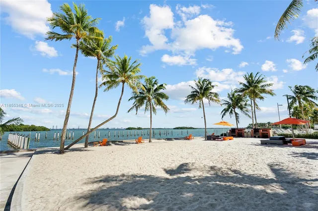 a view of a garden with a tree