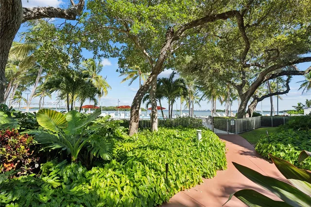 a view of a garden with plants