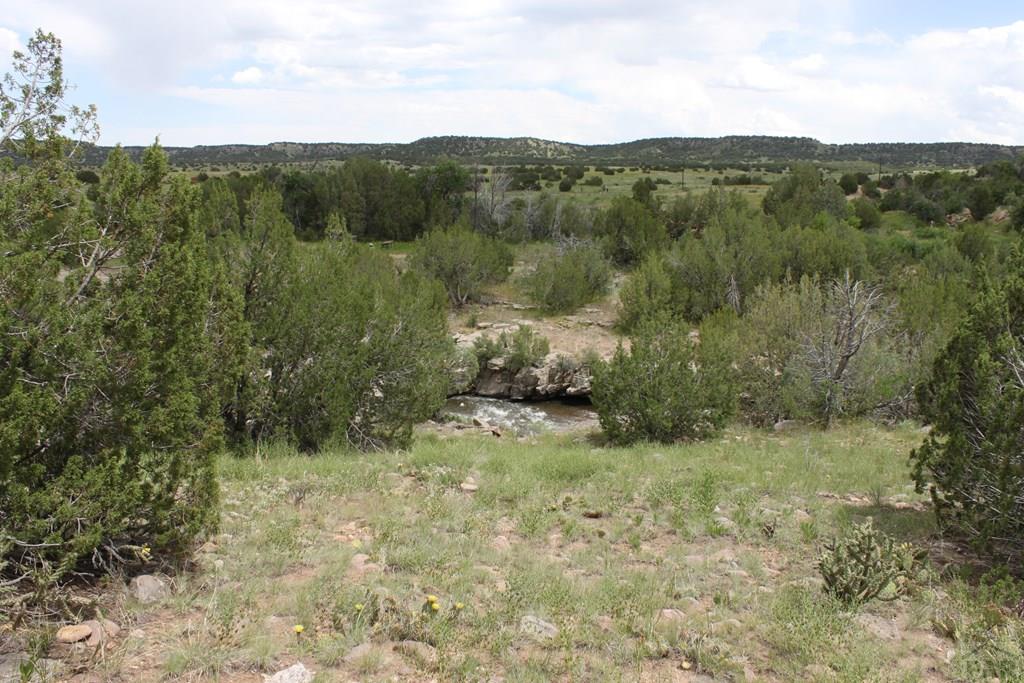 Tbd South Tbd S Waterbarrel Road Beulah, CO 81023 - Photo 6 of 21