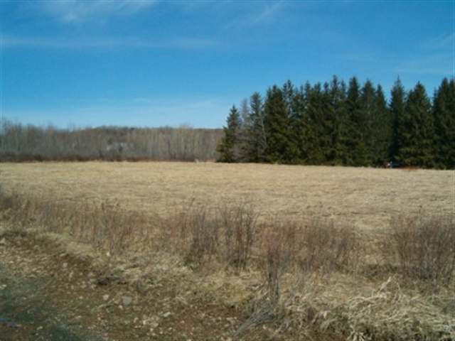 0 Taylor Road Jefferson, NY 12093 - Photo 2 of 7 Photo 2