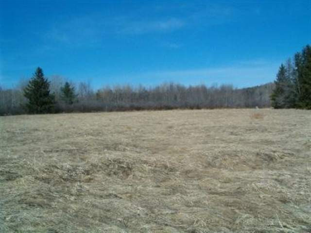 0 Taylor Road Jefferson, NY 12093 - Photo 5 of 7 Photo 5