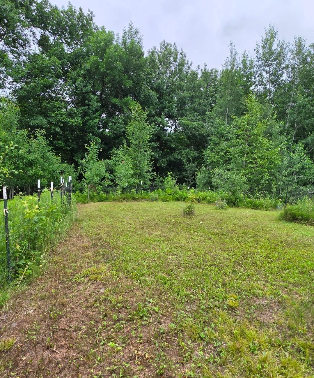 5098 177th Street Milaca, MN 56353 - Photo 6 of 44