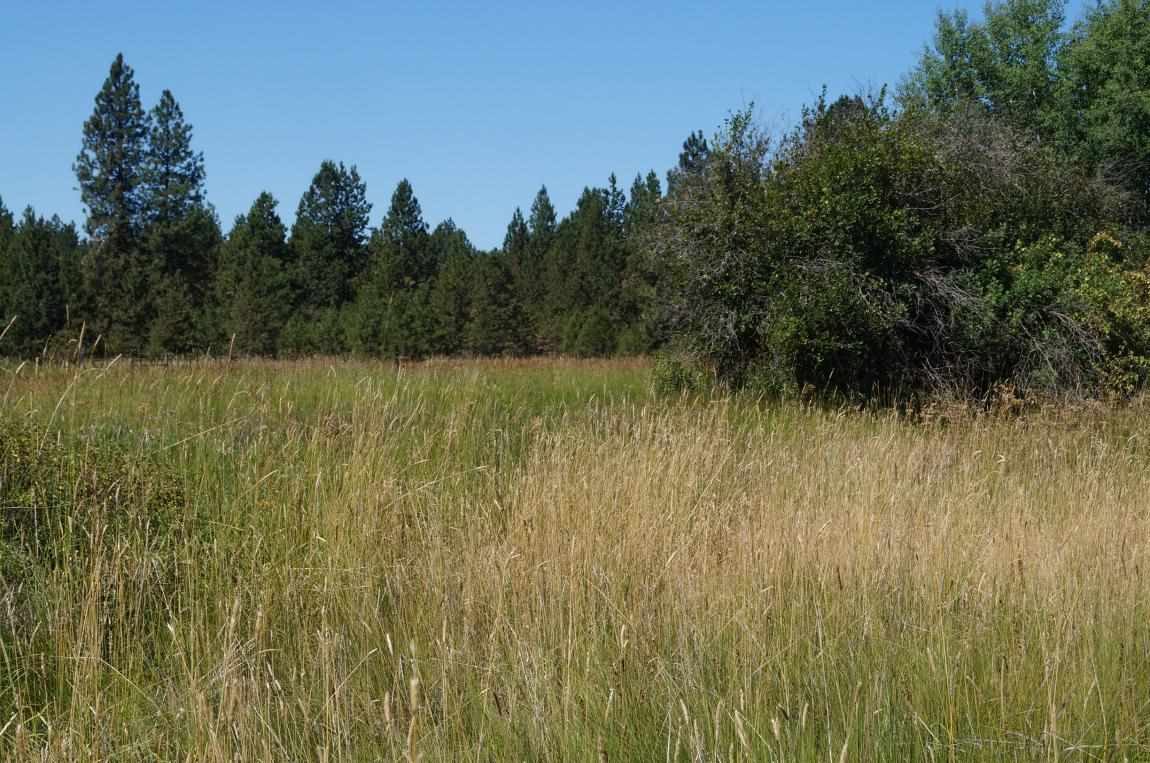 7112 South Spotted Road Cheney, WA 99004 - Photo 13 of 20