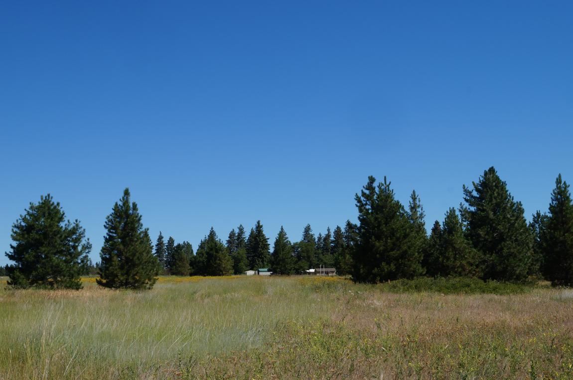 7112 South Spotted Road Cheney, WA 99004 - Photo 4 of 20