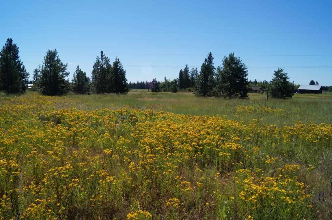 7112 South Spotted Road Cheney, WA 99004 - Photo 7 of 20