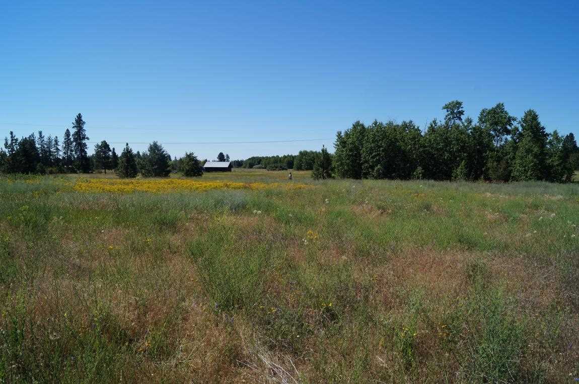 7112 South Spotted Road Cheney, WA 99004 - Photo 8 of 20