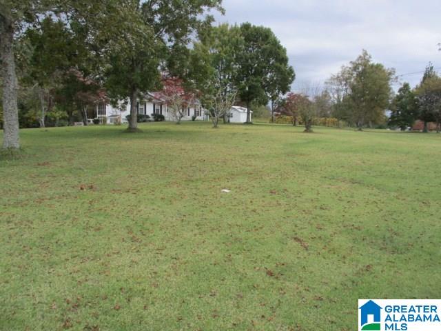 1024 Highway 12 Oneonta Al Oneonta, AL 35121 - Photo 6 of 14