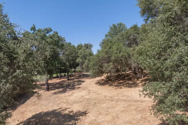 a view of outdoor space with wooden fence and trees