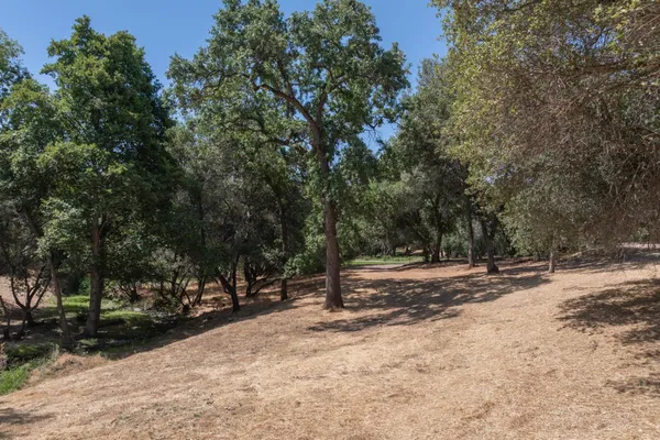 a view of road with trees