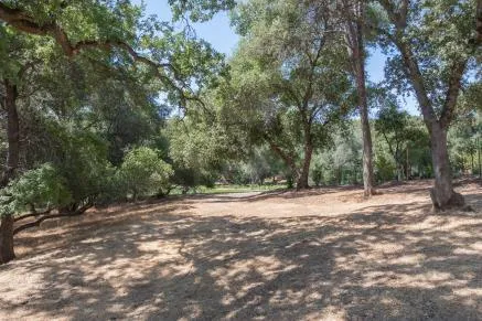 a view of empty area with trees