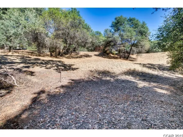 a view of dirt yard with a large tree