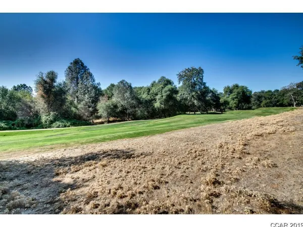 a view of a field of grass and trees