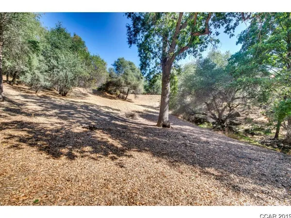 a view of dirt yard with a tree