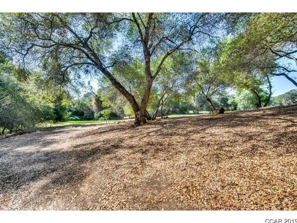 a view of dirt yard with a large tree
