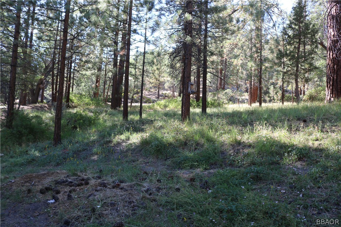 39372 Cedar Dell Road Fawnskin, CA 92333 - Photo 15 of 18 a view of outdoor space and green space