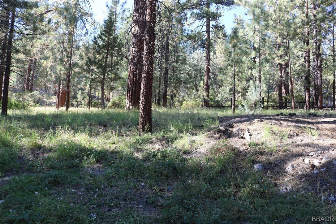 39372 Cedar Dell Road Fawnskin, CA 92333 - Photo 16 of 18 a view of a lake with a tree