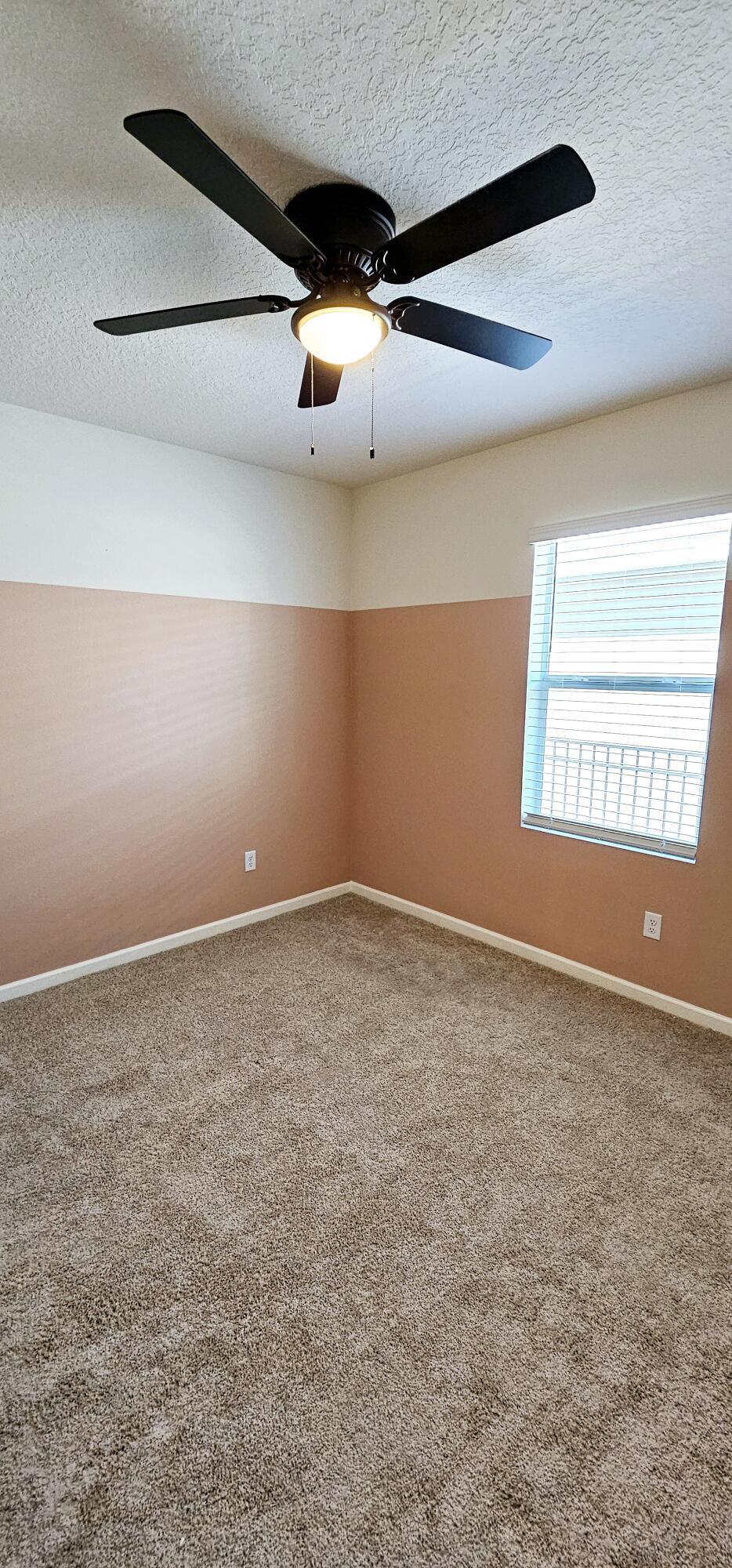 3723 Sandhill Crane Circle Mims, FL 32754 - Photo 15 of 22 20240307_134200