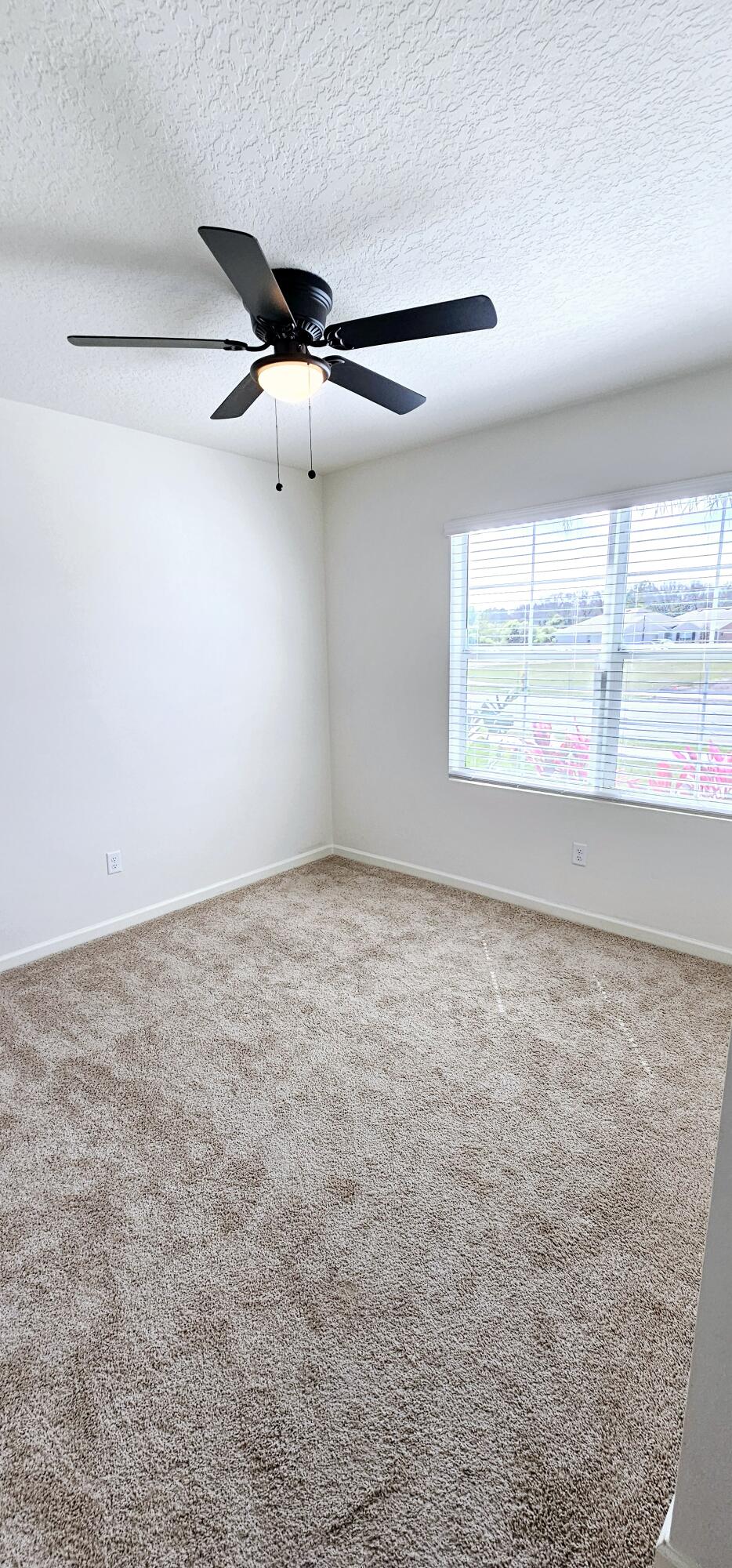 3723 Sandhill Crane Circle Mims, FL 32754 - Photo 16 of 22 20240307_134324