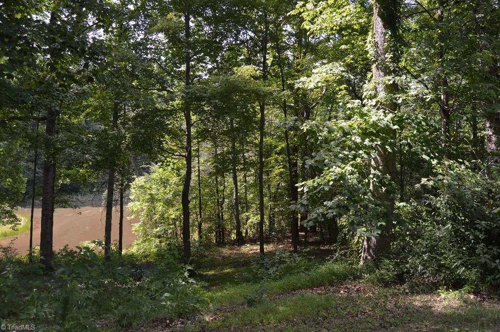 6440 Wynyard Avenue Rural Hall, NC 27045 - Photo 16 of 22 Gallery Image 16