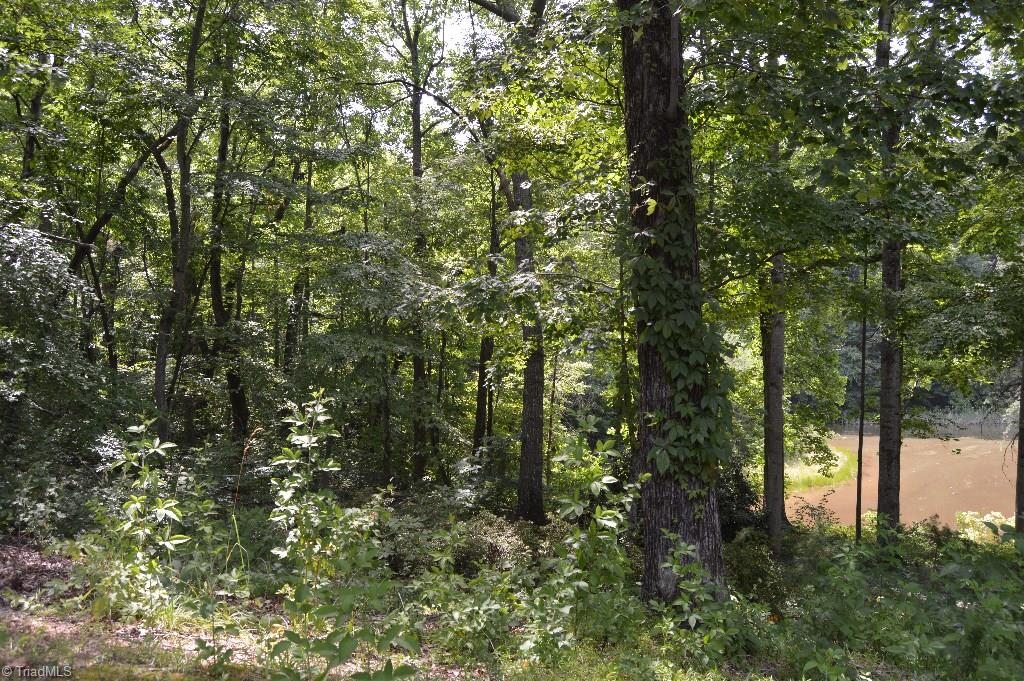 6440 Wynyard Avenue Rural Hall, NC 27045 - Photo 17 of 22 Gallery Image 17