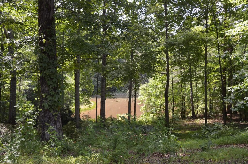6440 Wynyard Avenue Rural Hall, NC 27045 - Photo 19 of 22 Gallery Image 19