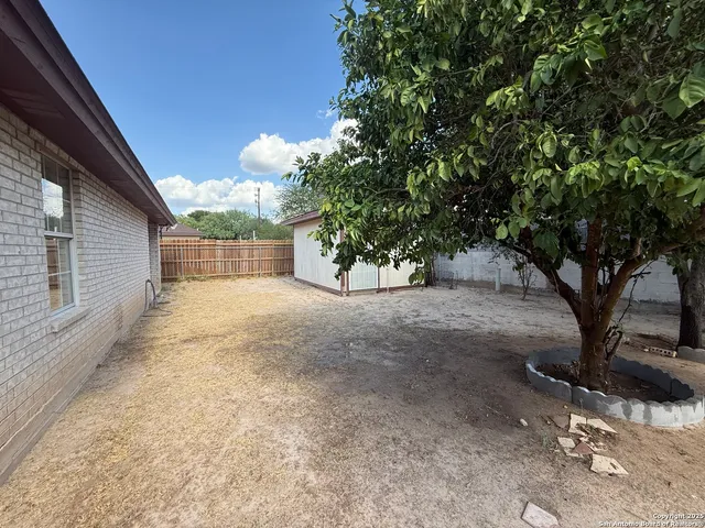 a view of a yard with a tree