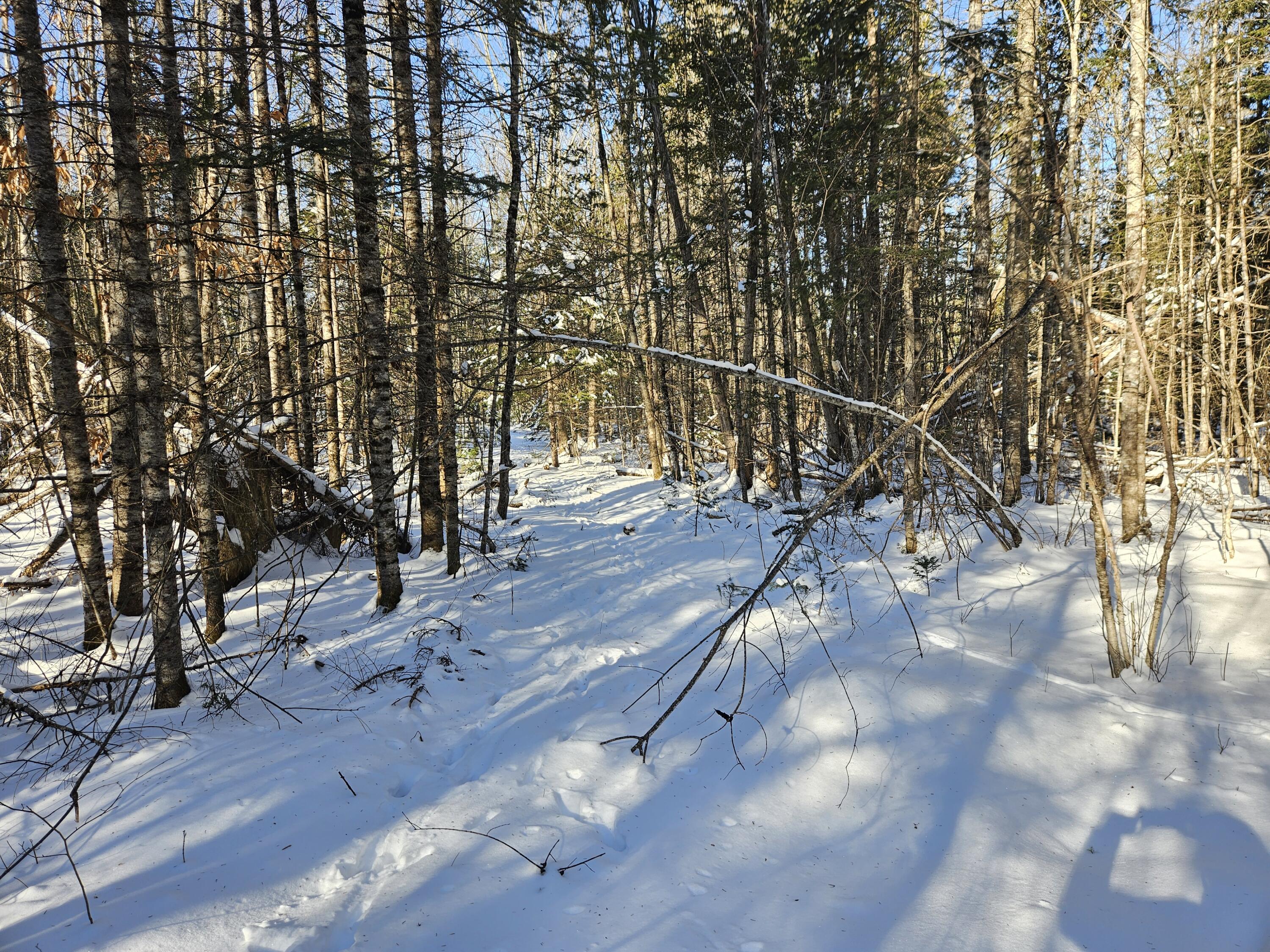 195 Rutland Road Troy, ME 04987 - Photo 77 of 80 20240121_122916