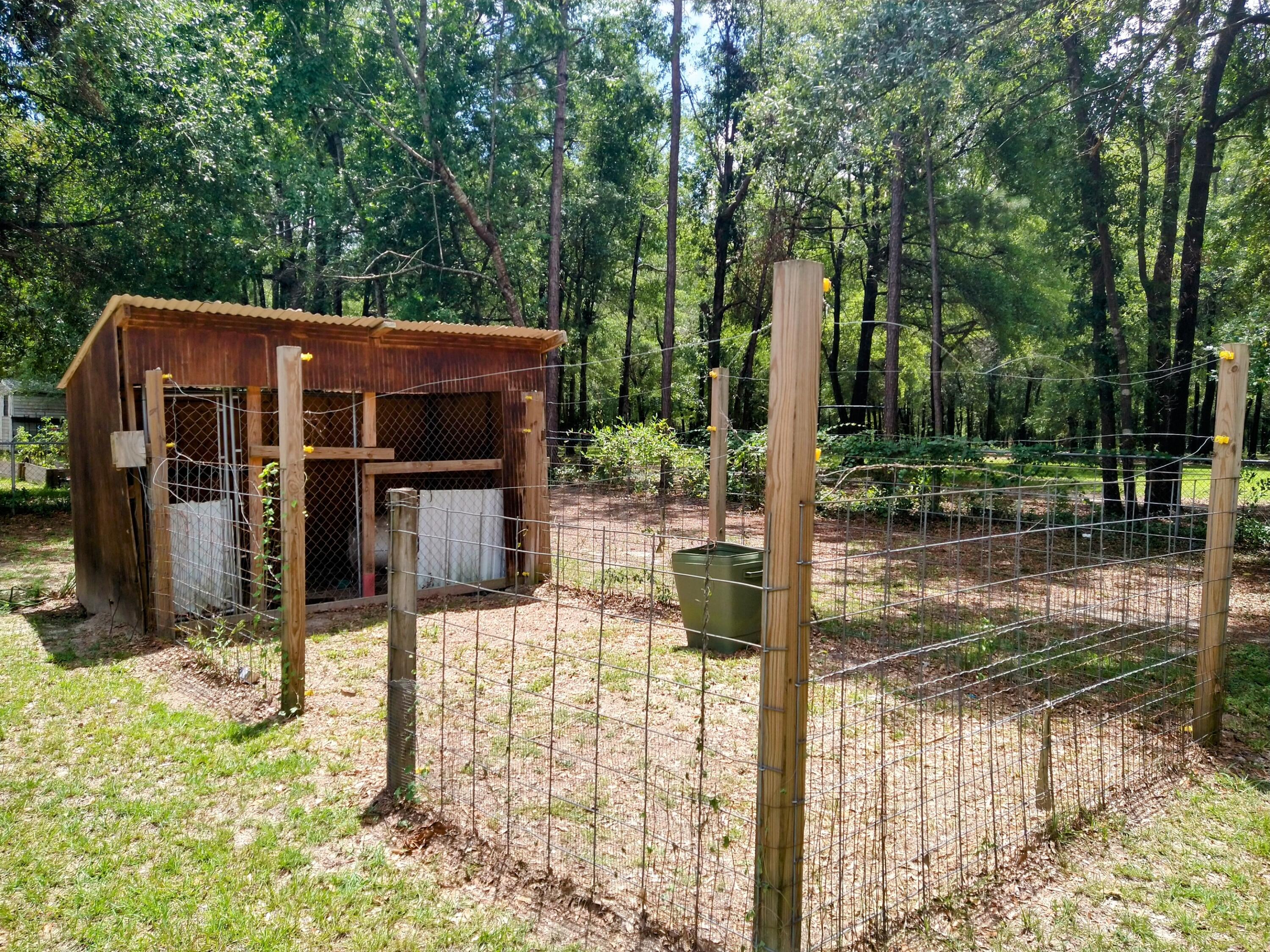 1128 Piney Grove Road Augusta, GA 30906 - Photo 3 of 25 IMG_20250714_130527815_HDR~2