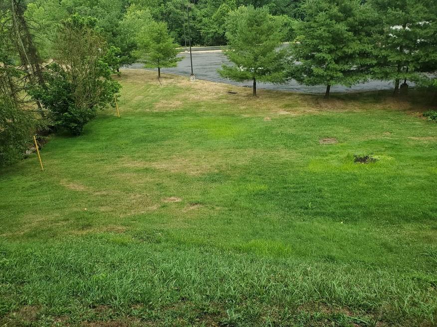 115 Morgan Hill Road Morgan, PA 15064 - Photo 12 of 17 a view of a backyard