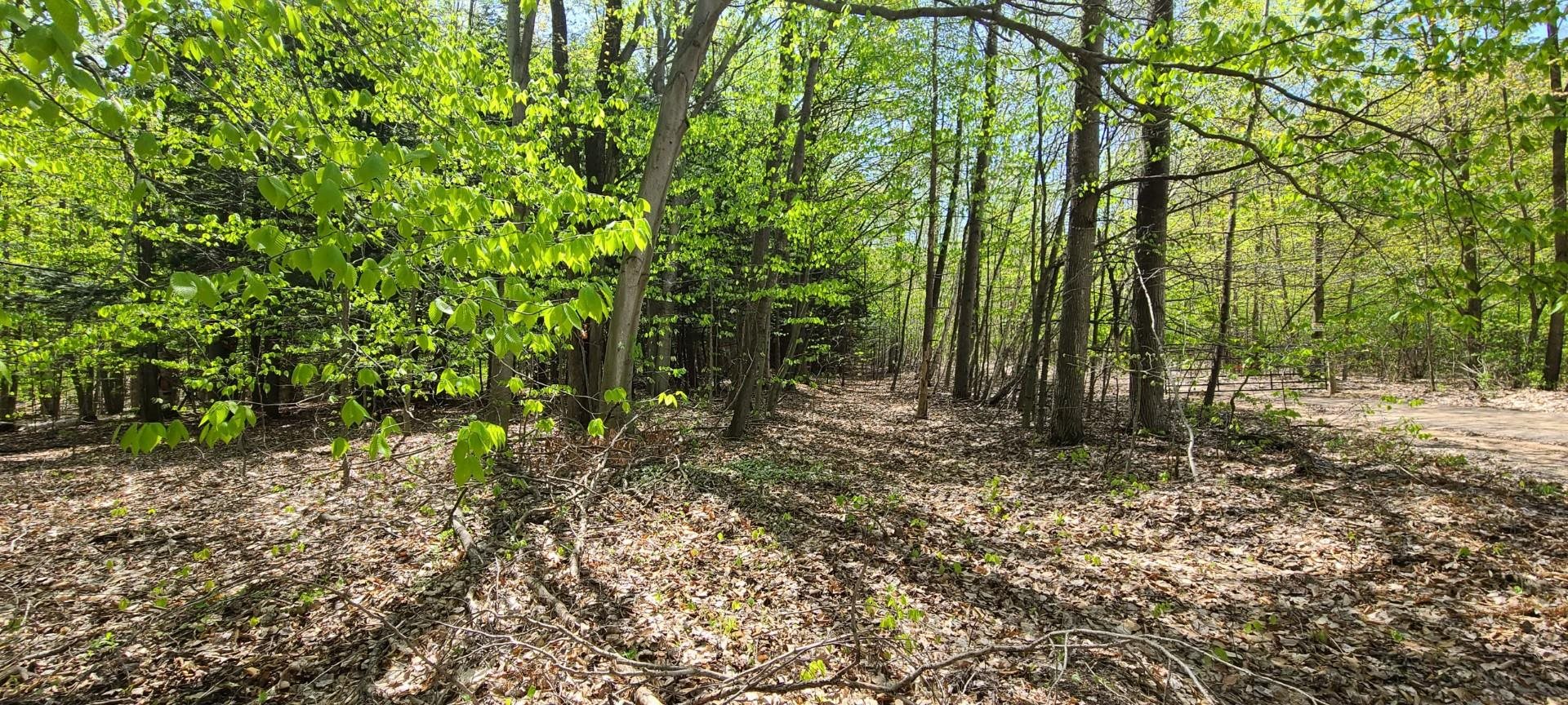 5041 Revnell Road Beulah, MI 49617 - Photo 13 of 13 Gallery Image 13