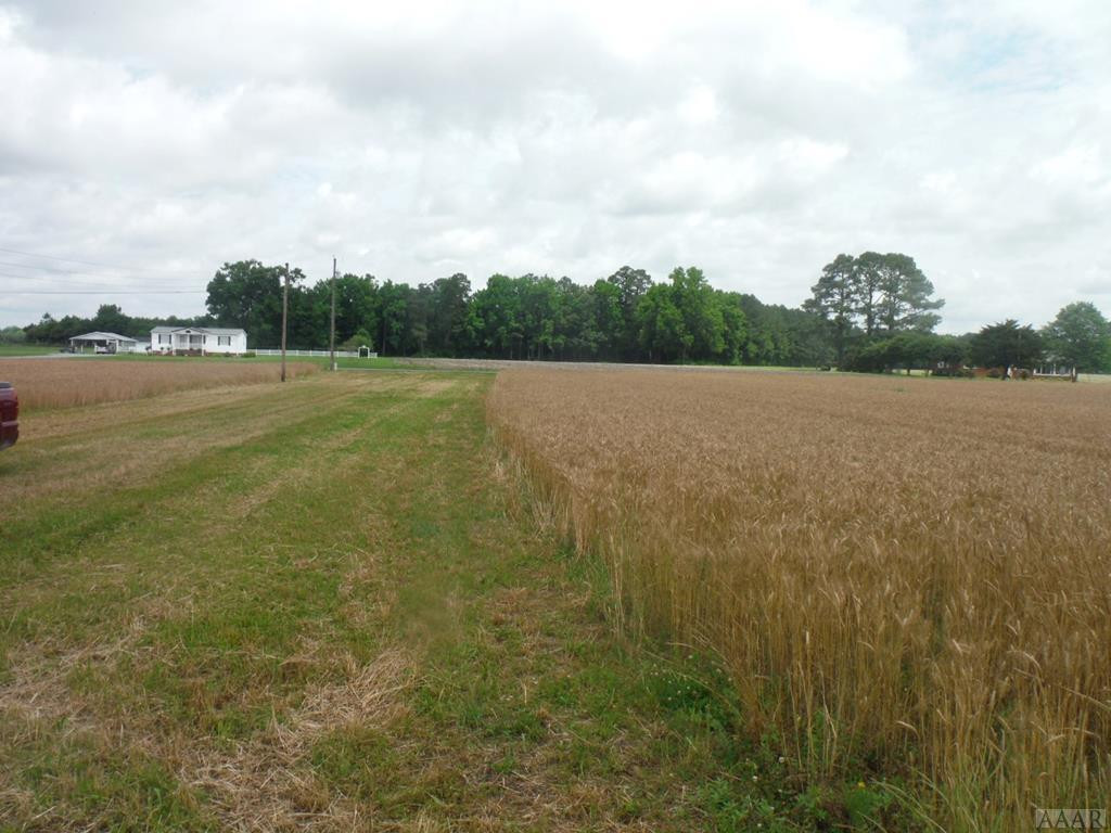 Tbd Buck Boone Road Conway, NC 27820 - Photo 12 of 12 Gallery Image 12