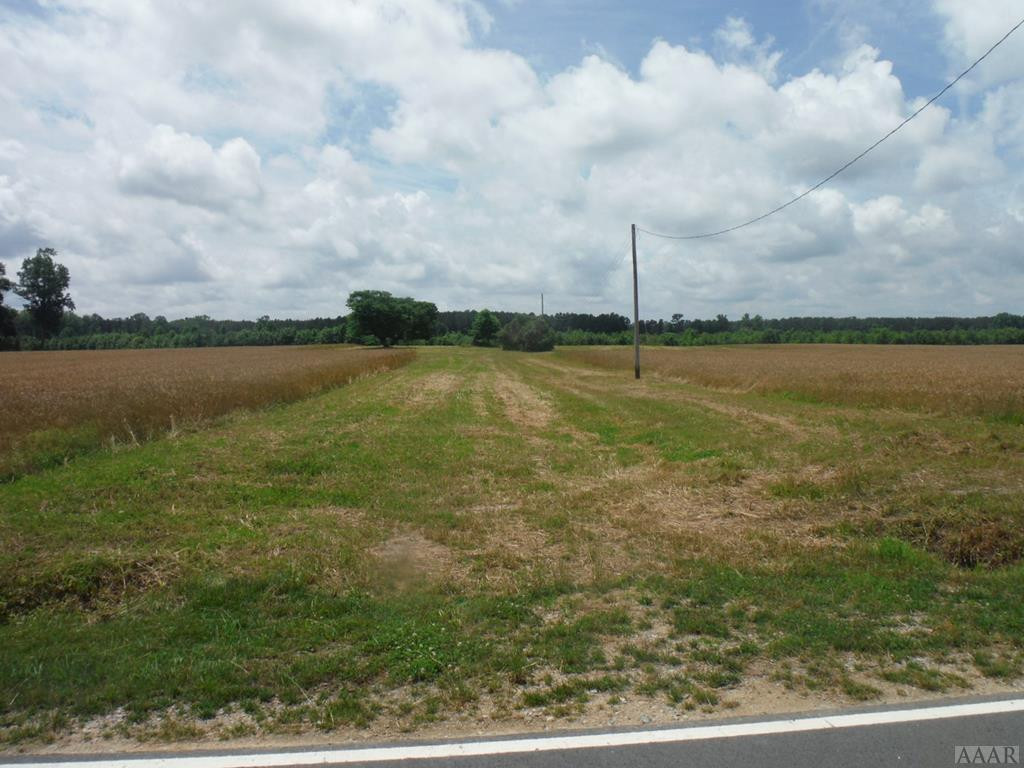 Tbd Buck Boone Road Conway, NC 27820 - Photo 2 of 12 Gallery Image 2