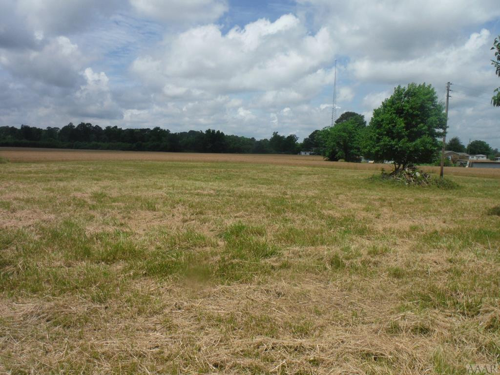 Tbd Buck Boone Road Conway, NC 27820 - Photo 10 of 12 Gallery Image 10