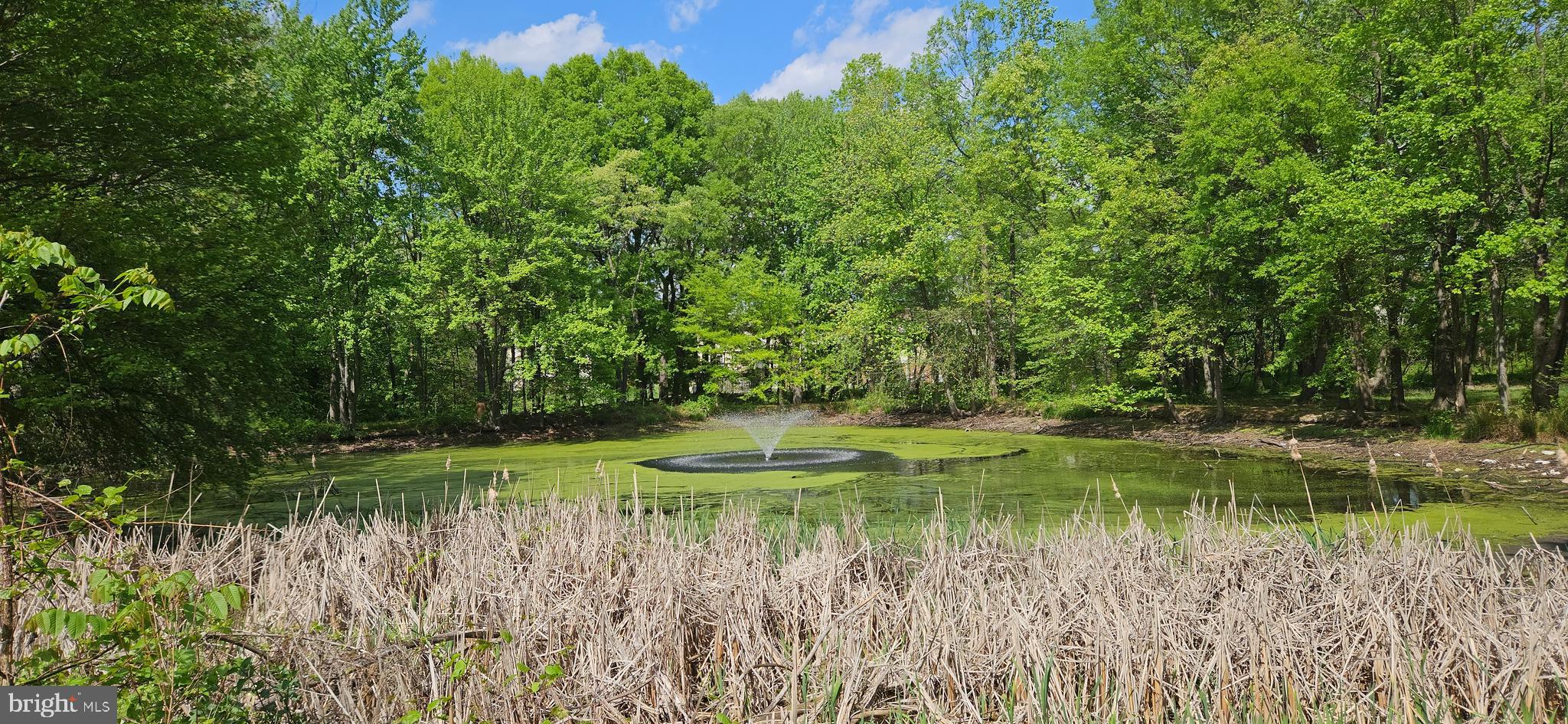 15708 Dorset Road, Unit 202 Laurel, MD 20707 - Photo 13 of 23