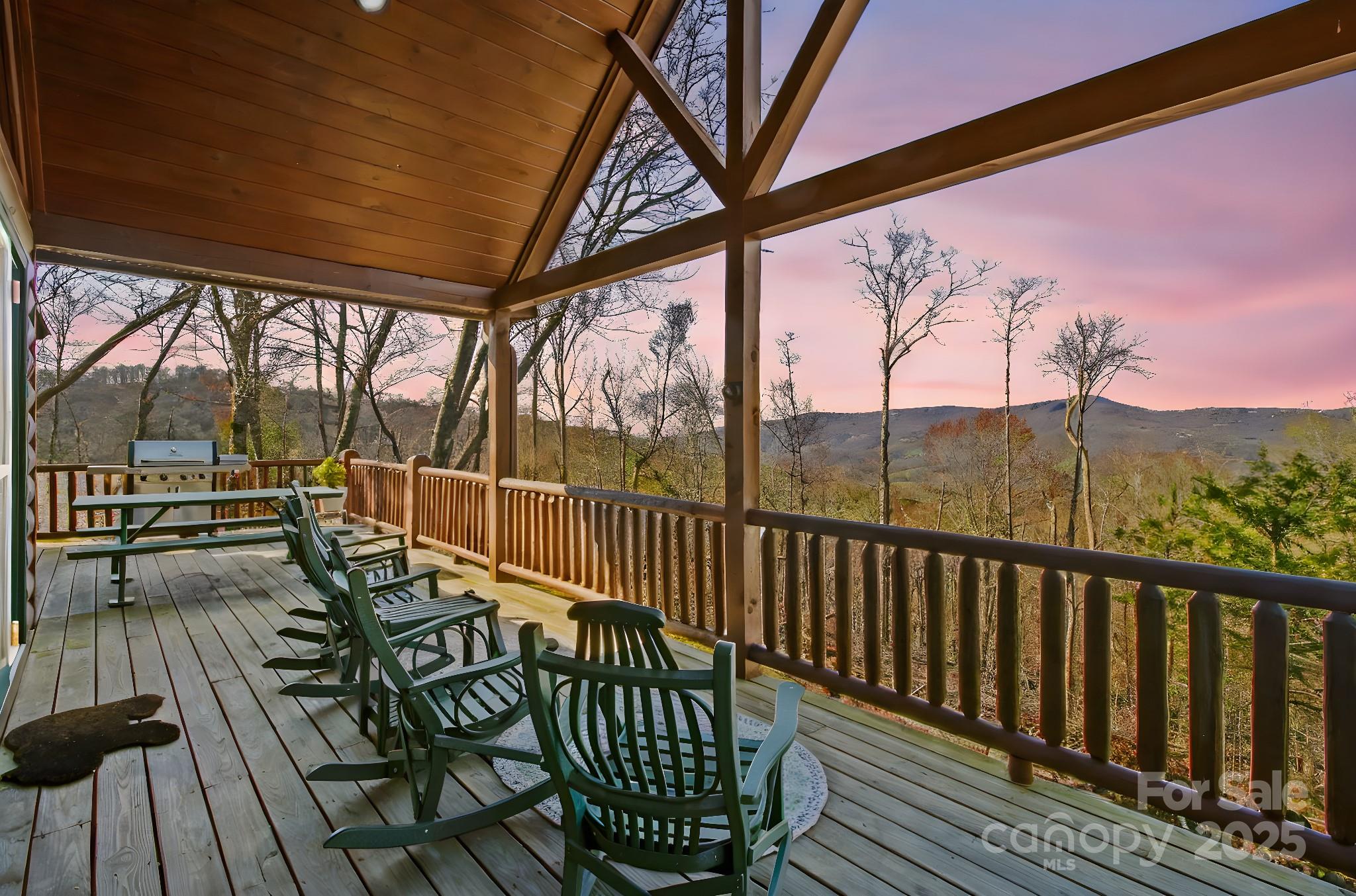 106 Miners Ridge Trail Banner Elk, NC 28604 - Photo 3 of 44 Gallery Image 3