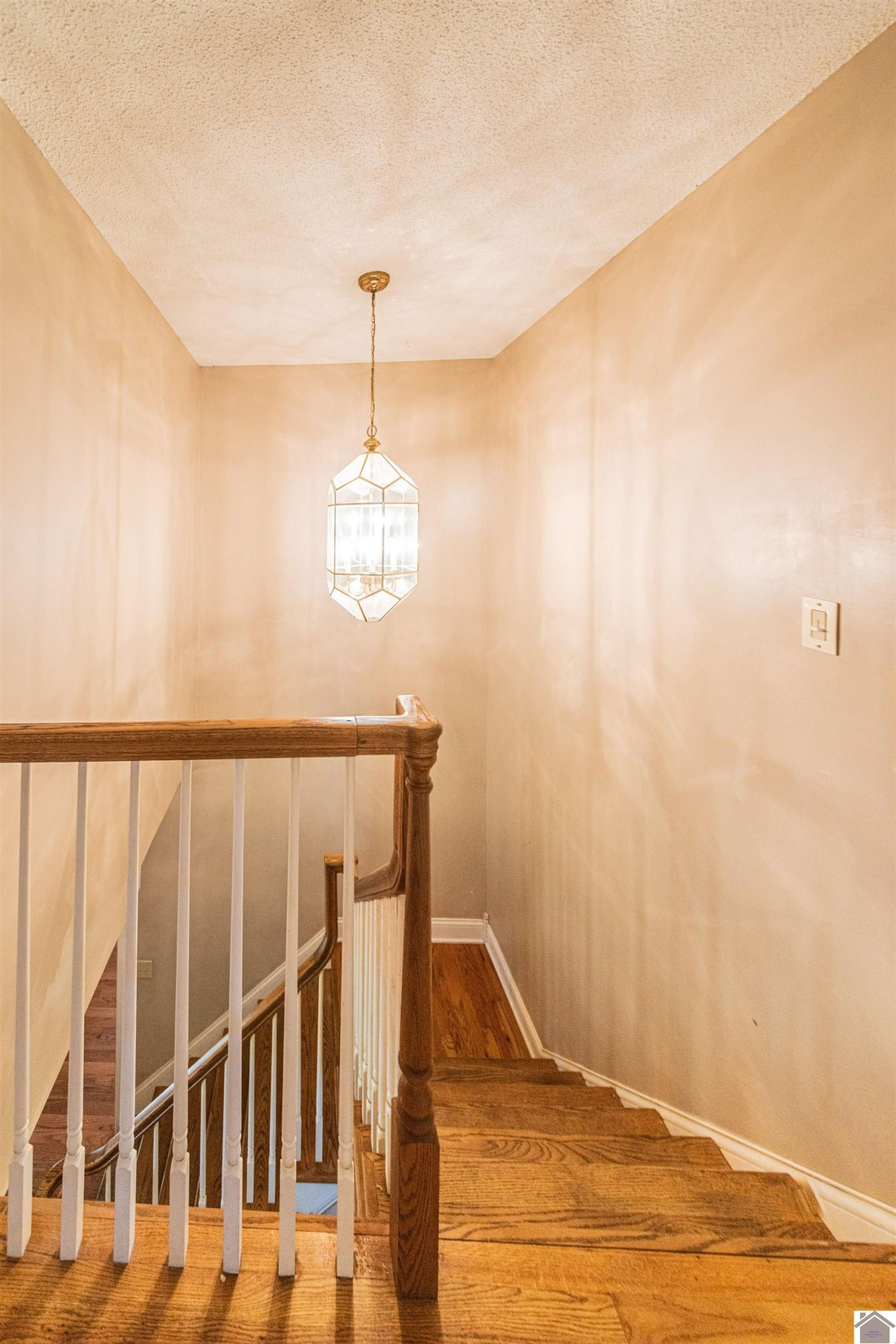 9618 Scale Road Benton, KY 42025 - Photo 20 of 35 Upstairs view of foyer