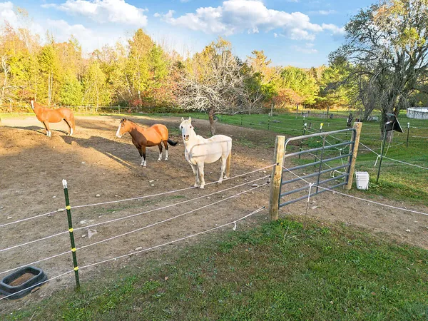 $699,000 | 135 Crockett Road, Dexter, ME 04930