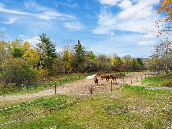 $699,000 | 135 Crockett Road, Dexter, ME 04930