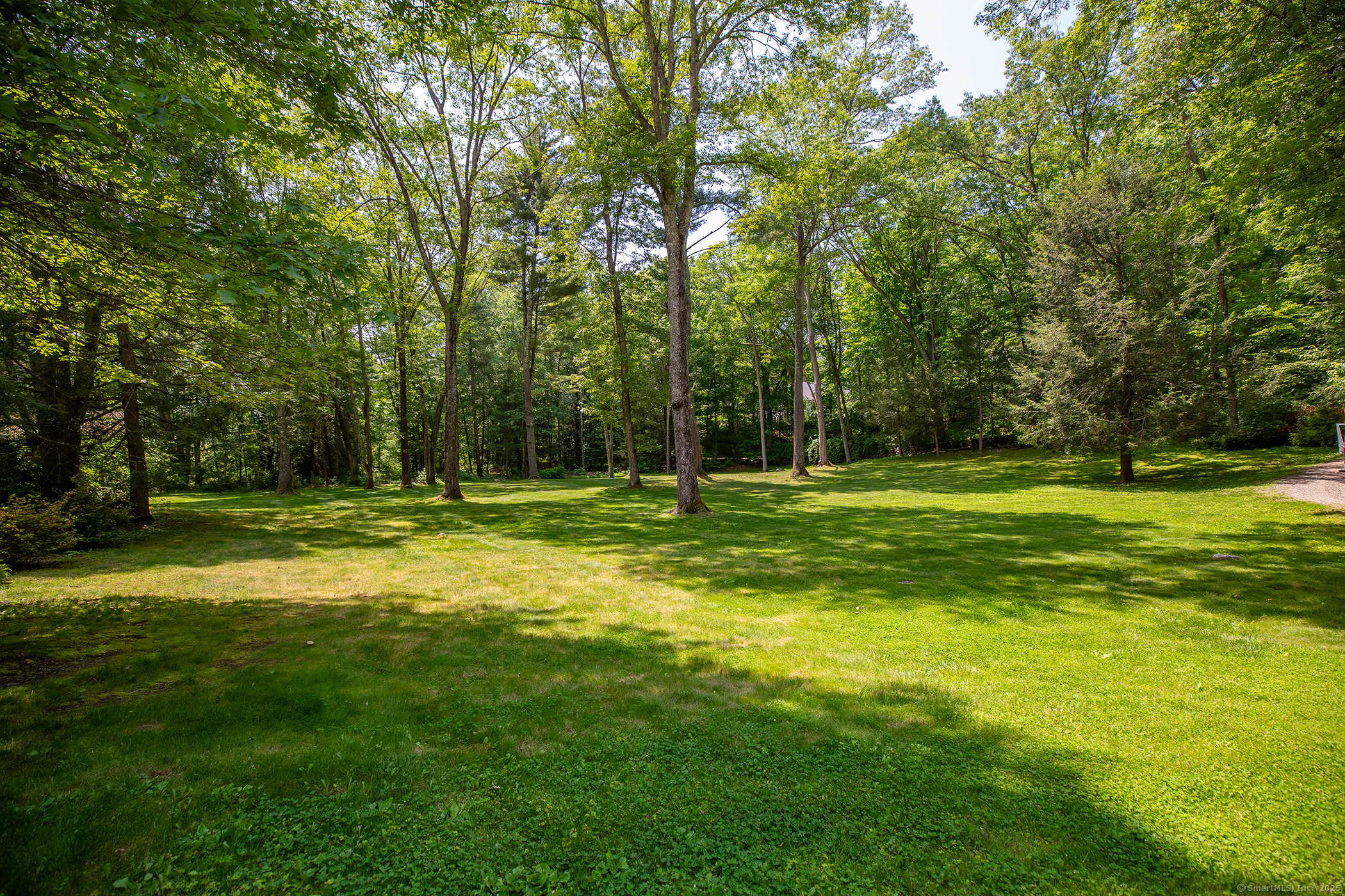 33 Sentry Hill Road Roxbury, CT 06783 - Photo 26 of 27 a view of a park with large trees