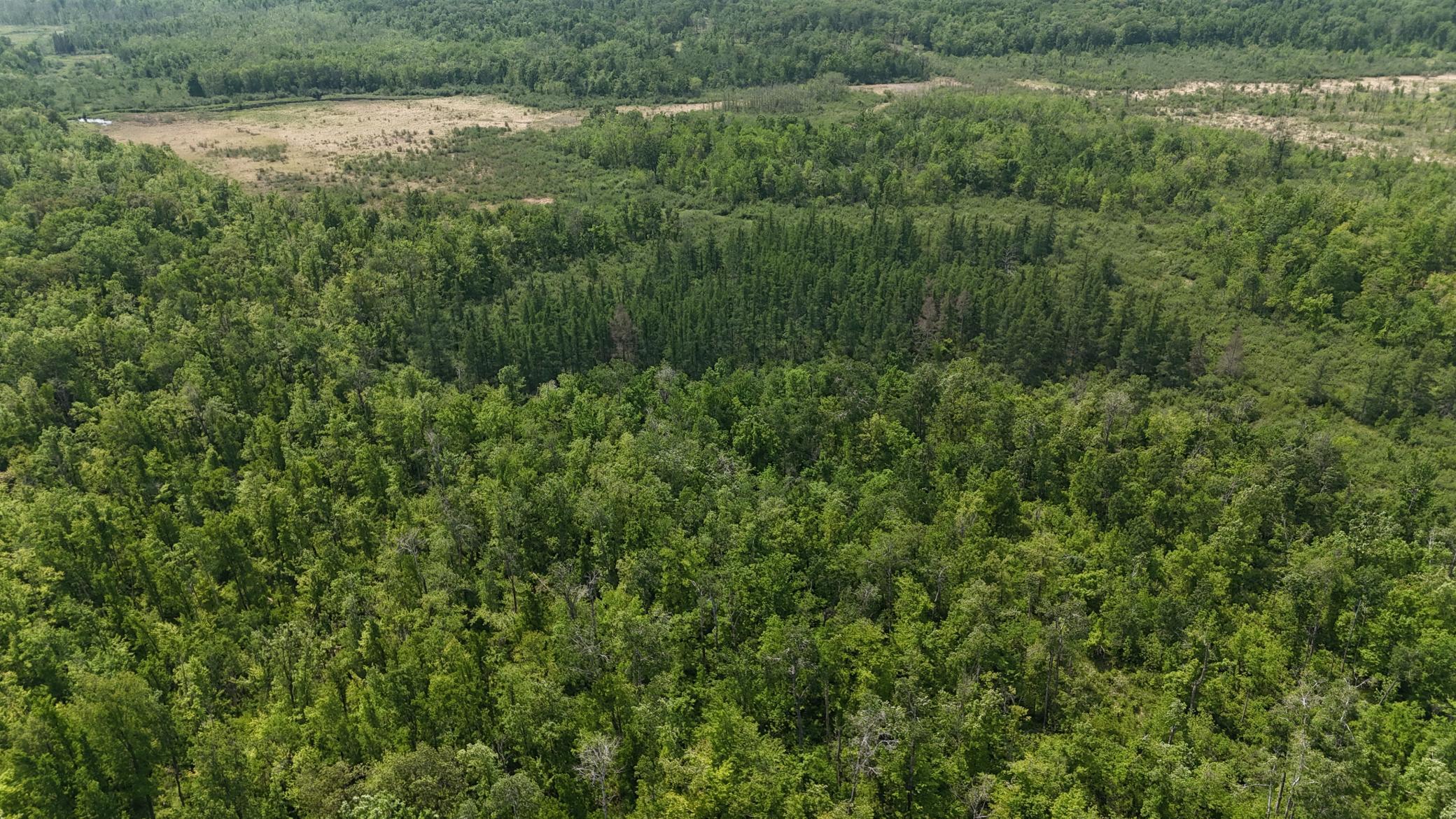 Tbd Tbd Speckled Trout Road Sandstone, MN 55072 - Photo 1 of 1