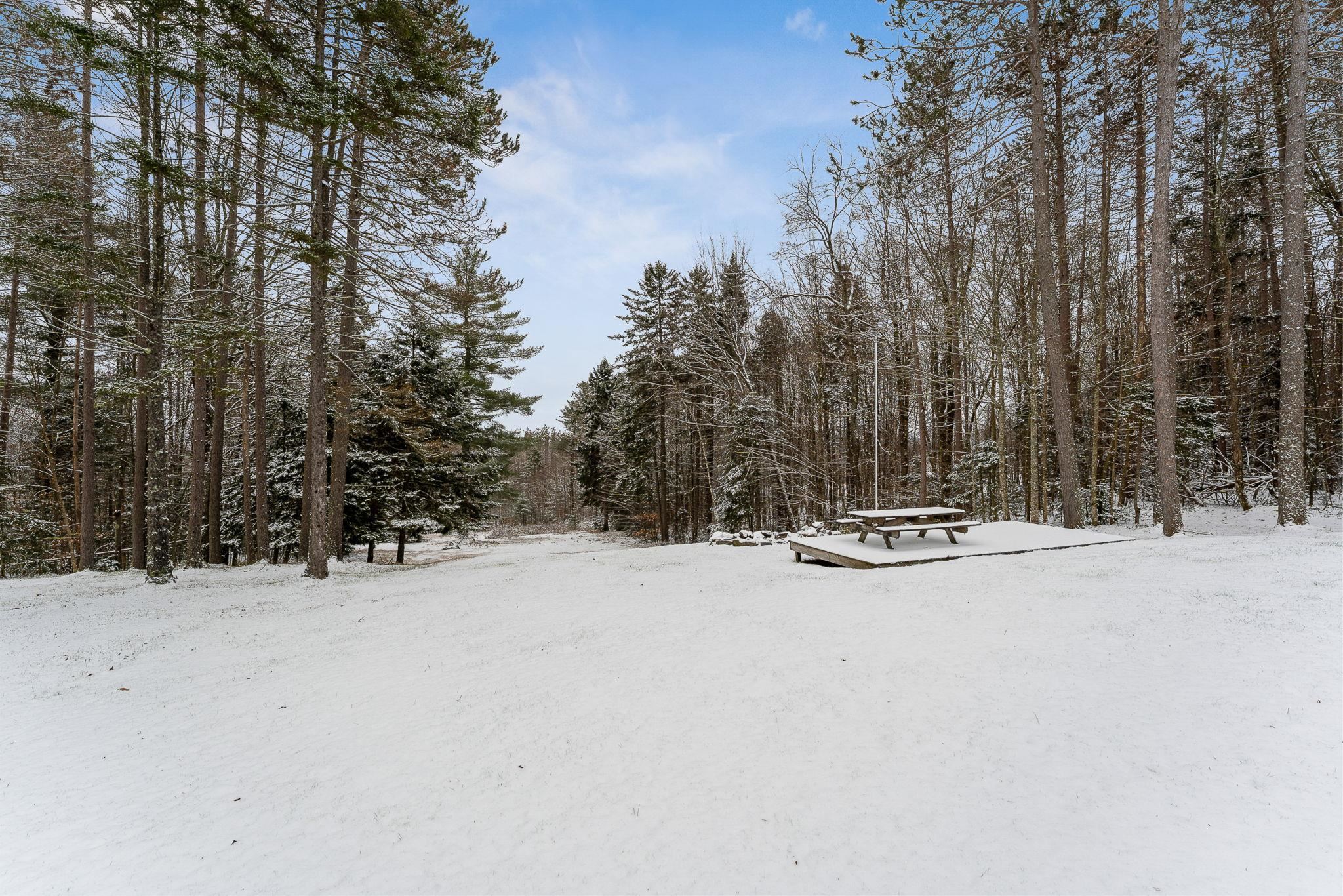 568 Hampshire Hill Road Worcester, VT 05682 - Photo 39 of 45 Gallery Image 39