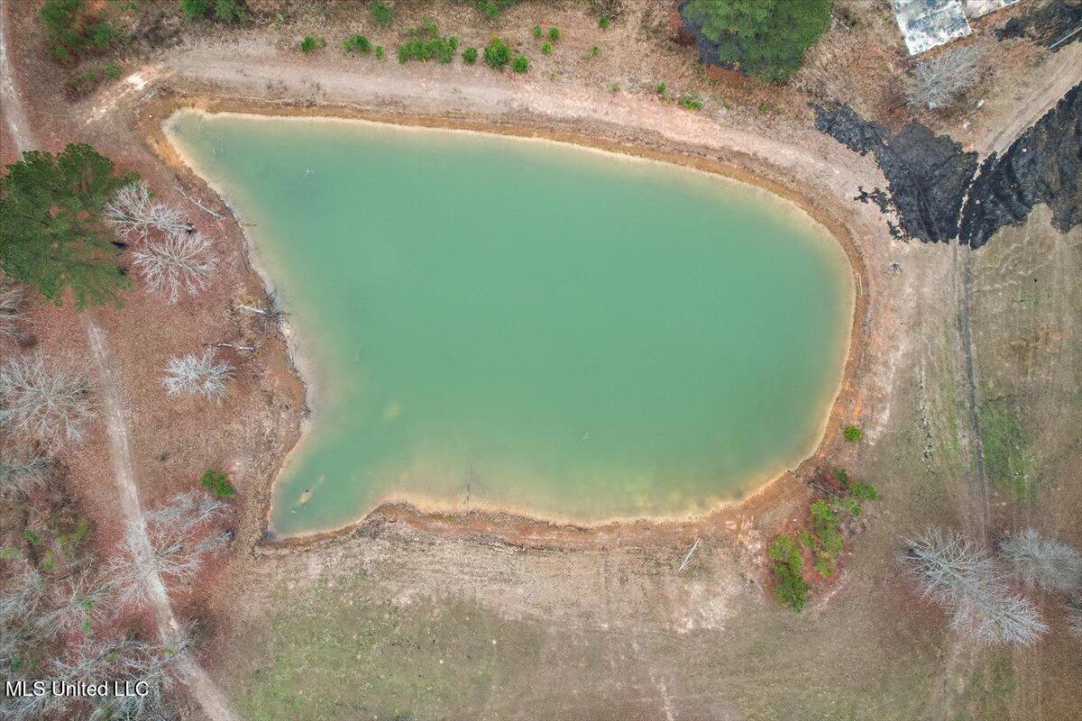 0 Coosa Road Carthage, MS 39051 - Photo 6 of 8 6-DJI_0922