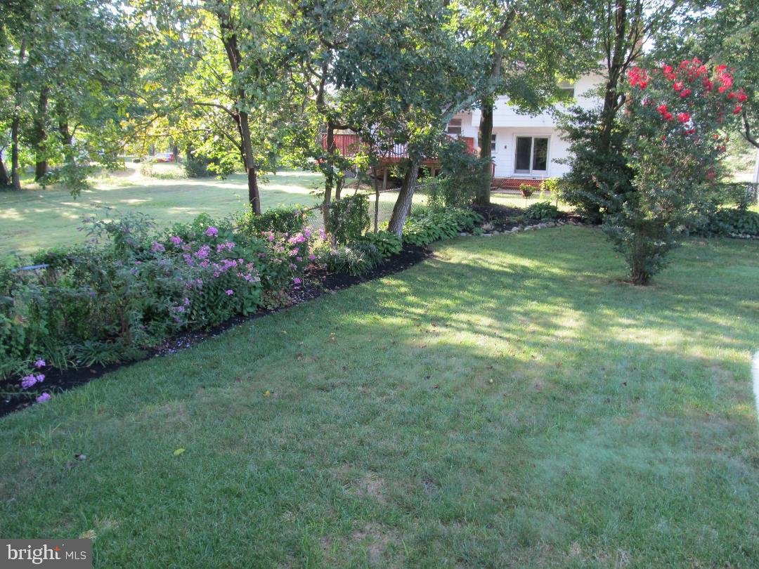324 Farmdale Road Moorestown, NJ 08057 - Photo 33 of 35 Rear yard, flowers in bloom