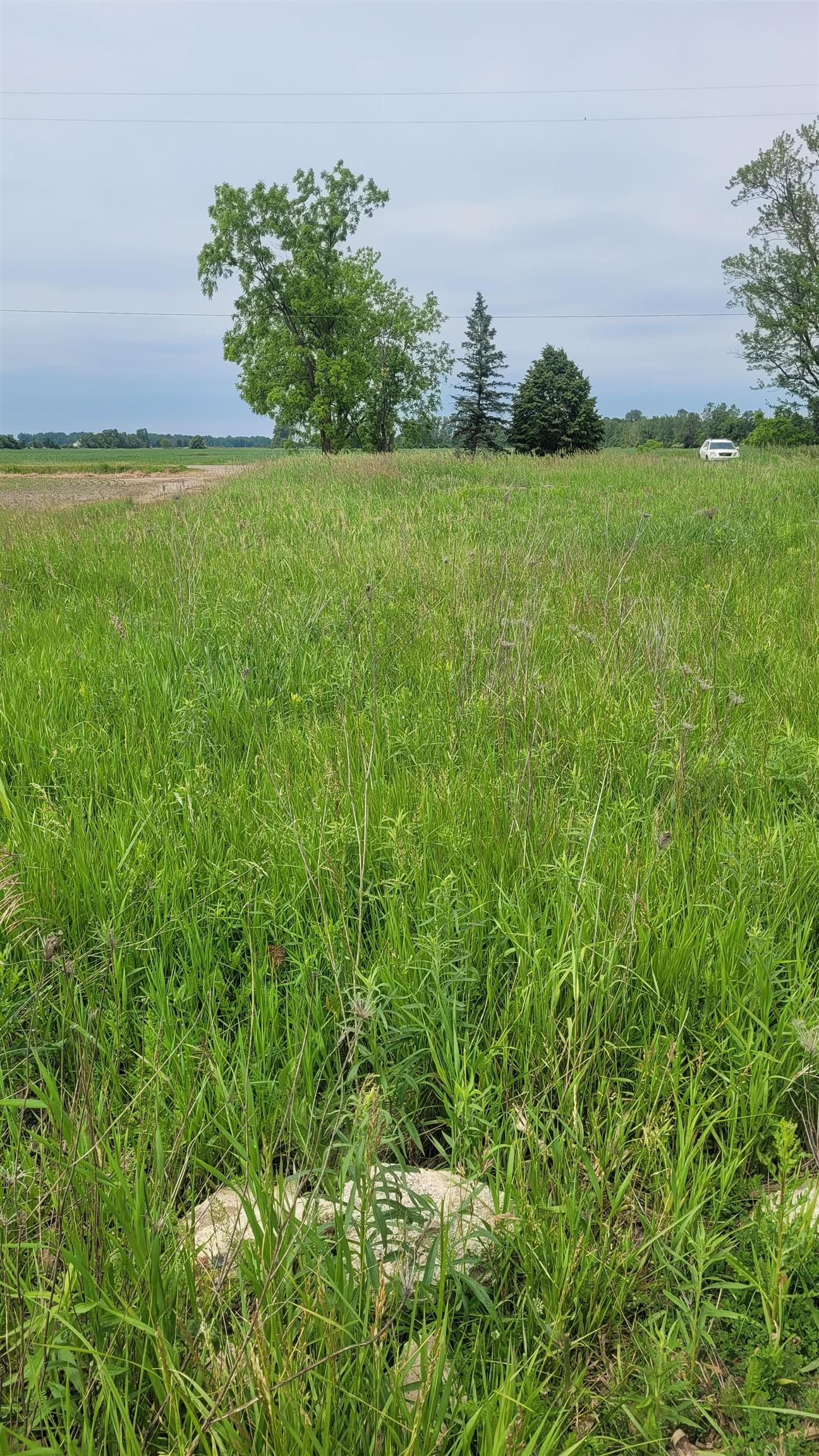 2305 West Juddville Road Owosso, MI 48867 - Photo 2 of 7